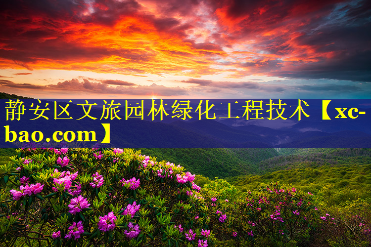 静安区文旅园林绿化工程技术